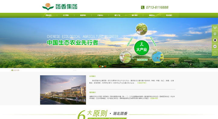 湖北團香農業集團首頁第一屏截圖
